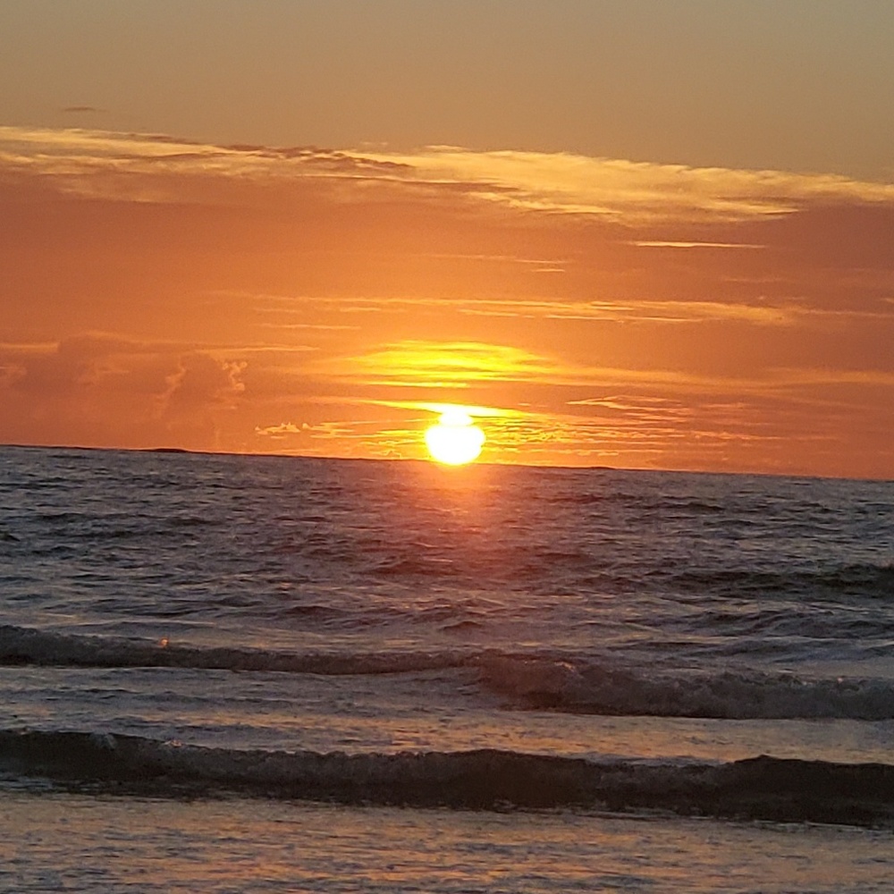 Meet your Posher, Josephine